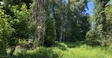 37 Cypress Dr - Photo 8
