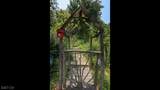 151 Wild Hedge Ln - Photo 47