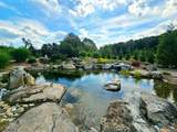 111 Beaver Run Rd - Photo 3