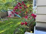 60 Wellington Avenue - Photo 36