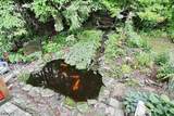 6 Cooper Dr - Photo 11