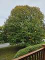 82 Wood Duck Ct - Photo 6