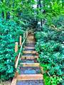 639 Canistear Rd - Photo 19