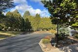32 Nancy Terrace - Photo 46