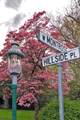 333 Hillside Pl - Photo 33