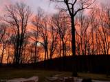 5 Buddy Ln - Photo 47