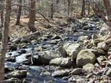 36 Roaring Brook Way - Photo 39