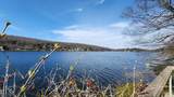 56 E Shore Trl - Photo 36