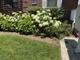 241 E Main St - Photo 14