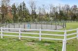 502 Woolf Rd - Photo 37