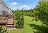 5 Edith Pl - Photo 29