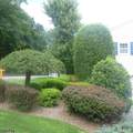 407 Lafayette Ave - Photo 20