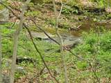 20 Wishing Well Rd - Photo 3