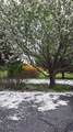 156 Lott Rd - Photo 38