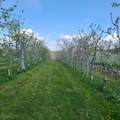 25 Clove Rd - Photo 35