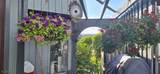 11 Trafalgar Ct - Photo 40