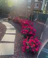 328 Hillside Ave - Photo 41