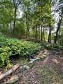 145 Quenby Mountain Rd - Photo 33