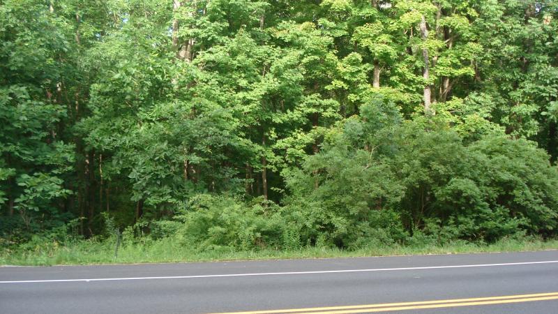 Address Not Published - Photo 1