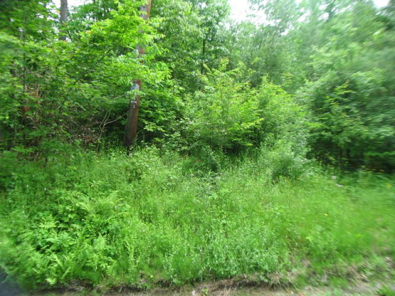 224 Clove Rd - Photo 1