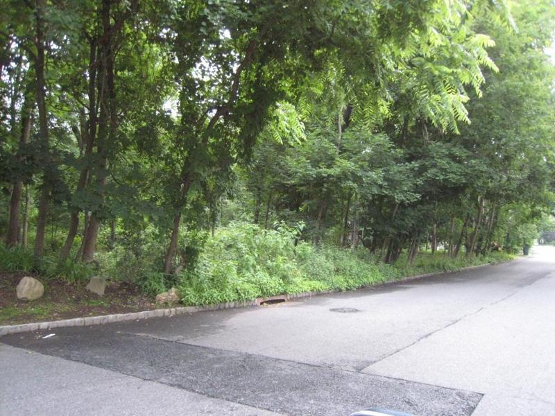 124 E Mc Clellan Ave - Photo 1