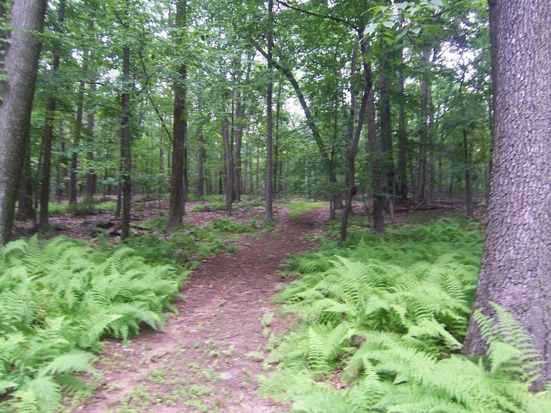 111 Schooleys Mountain Rd - Photo 1