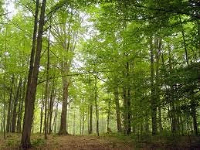 0 - W Mountain Rd - Photo 1
