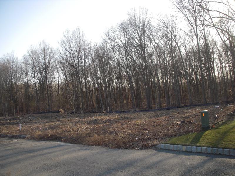 10 Meadow Ct - Photo 1