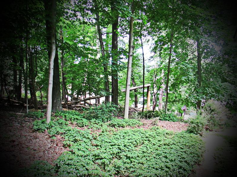 484 E Shore Trl - Photo 1