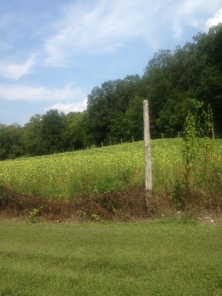 216 State Route 15 - Photo 1