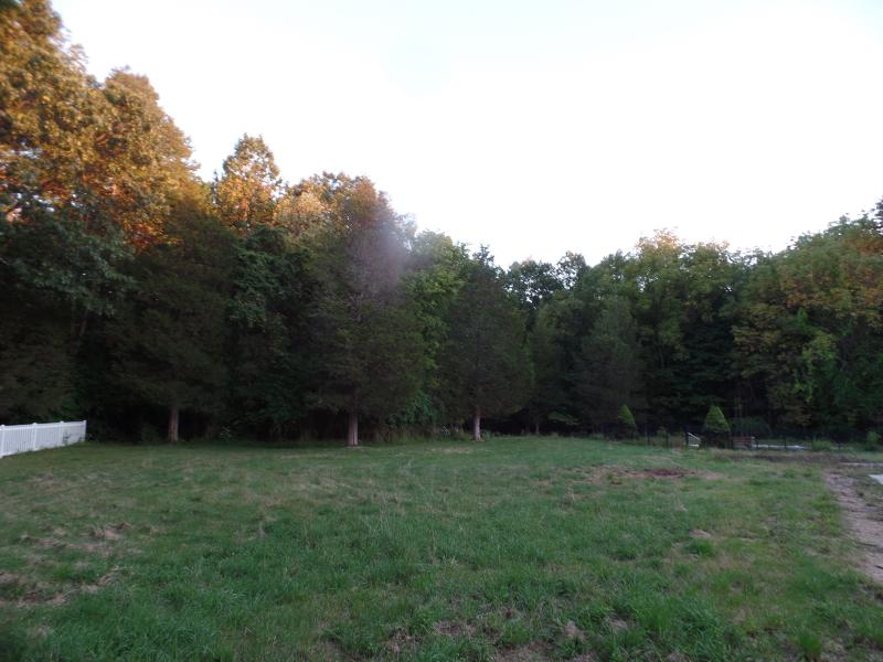 10 Chanwood Dr - Photo 1