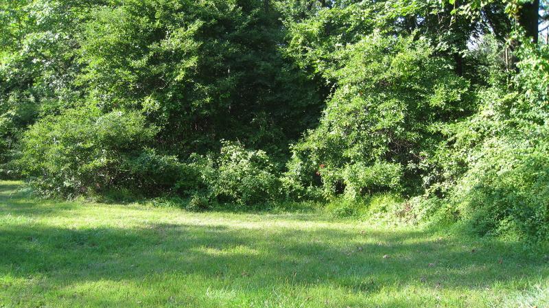 0 Broadview Rd - Photo 1