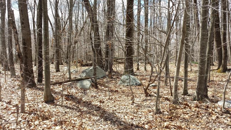 495 Split Rock Rd - Photo 1