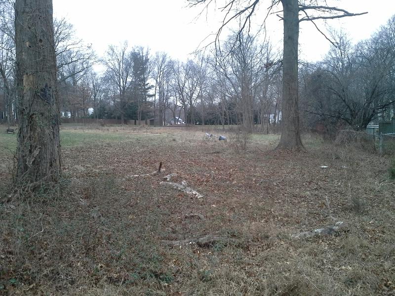 528 Garfield Ave - Photo 1