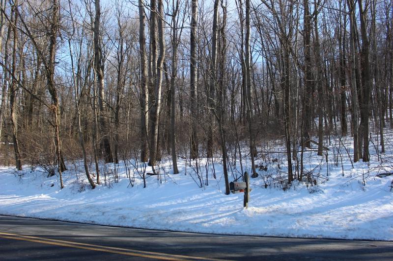 39 Russling Rd - Photo 1
