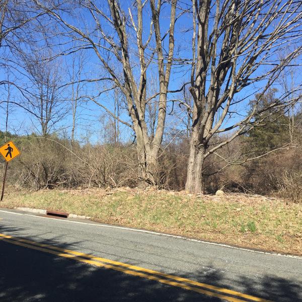 0 Naughright Rd - Photo 1