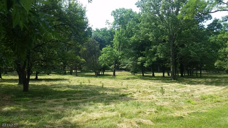 40 Post Kennel Rd - Photo 1