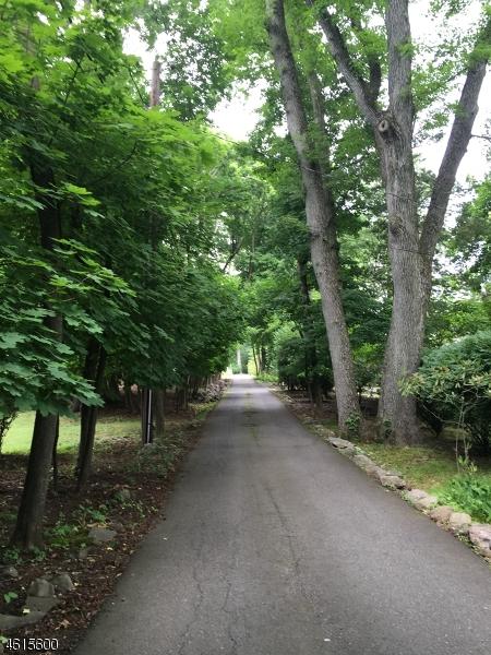151 Wild Hedge Ln (Land) - Photo 1
