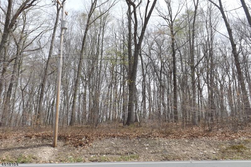 471 Sergeantsville Rd - Photo 1