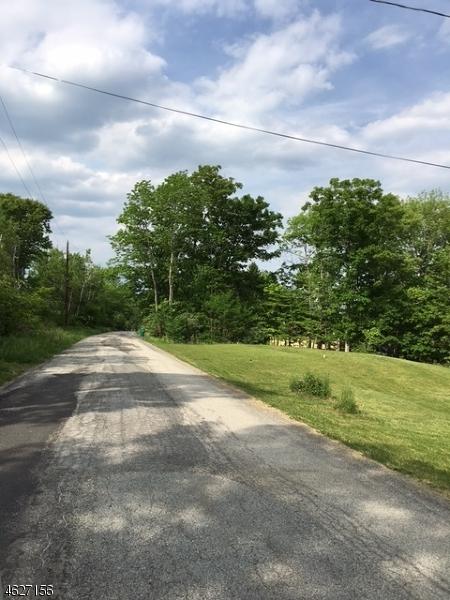 0 Courtright Rd - Photo 1