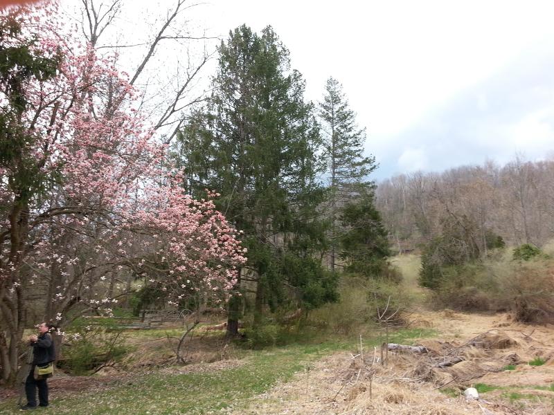 210 Church Rd - Photo 1