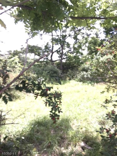 13 Monroe Rd - Photo 1