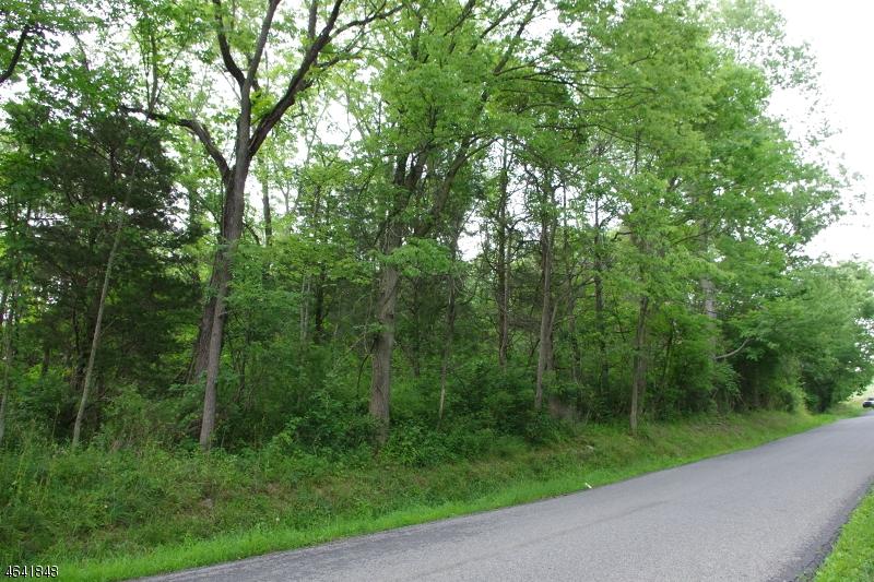 0 Mountain Rd - Photo 1