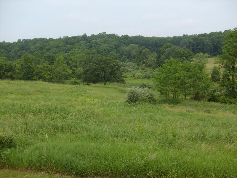 335 Delaware Rd - Photo 1