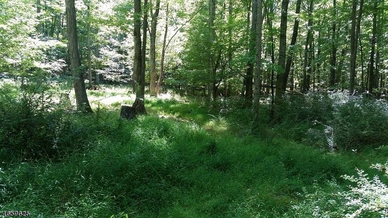 29 Steenykill Rd - Photo 1
