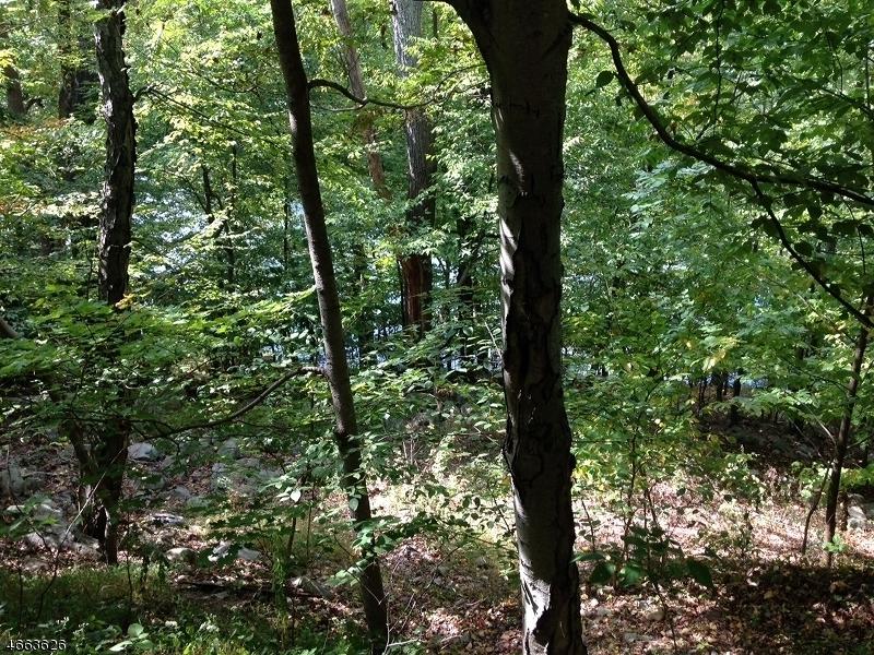 403 Skyline Lakes Dr - Photo 1