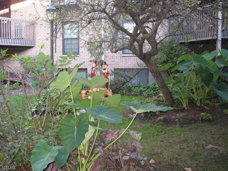 181 Long Hill Rd 9-1 - Photo 1