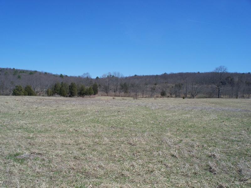 400 Hwy Route 206 & Clove Rd - Photo 1