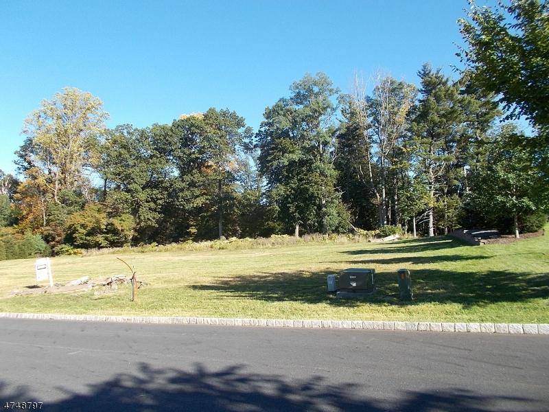 4 Margulis Ct - Photo 1