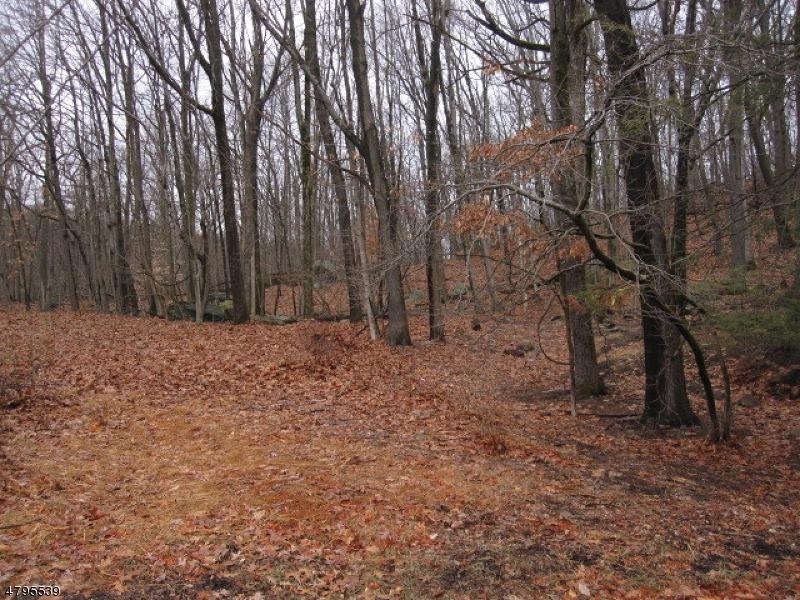 0 Tamarack Dr - Photo 1